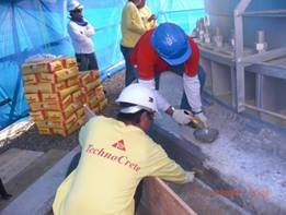 Santa Rita Power Plant Project